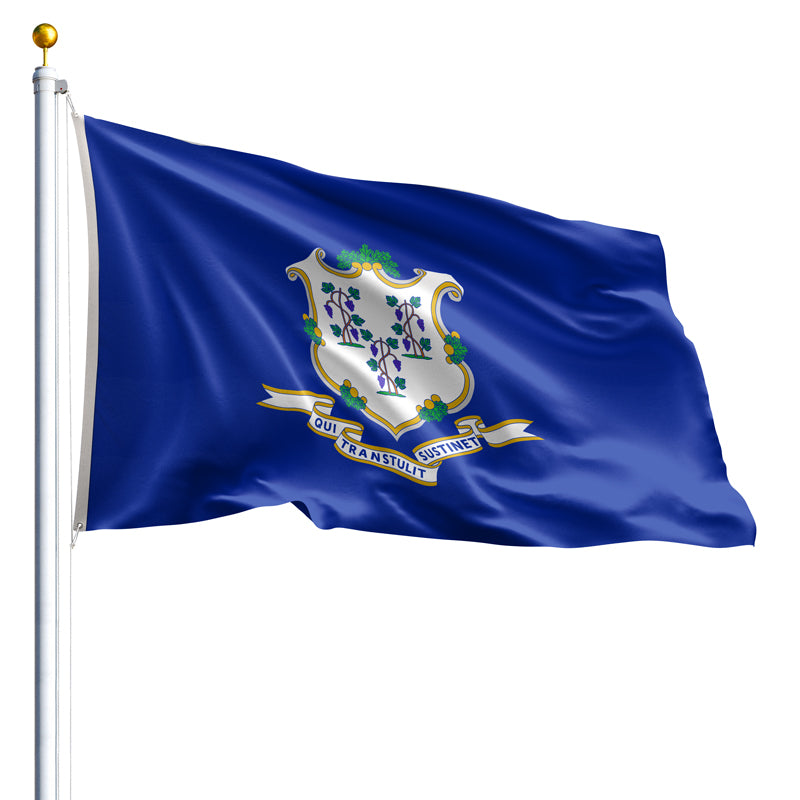 Connecticut State Flag