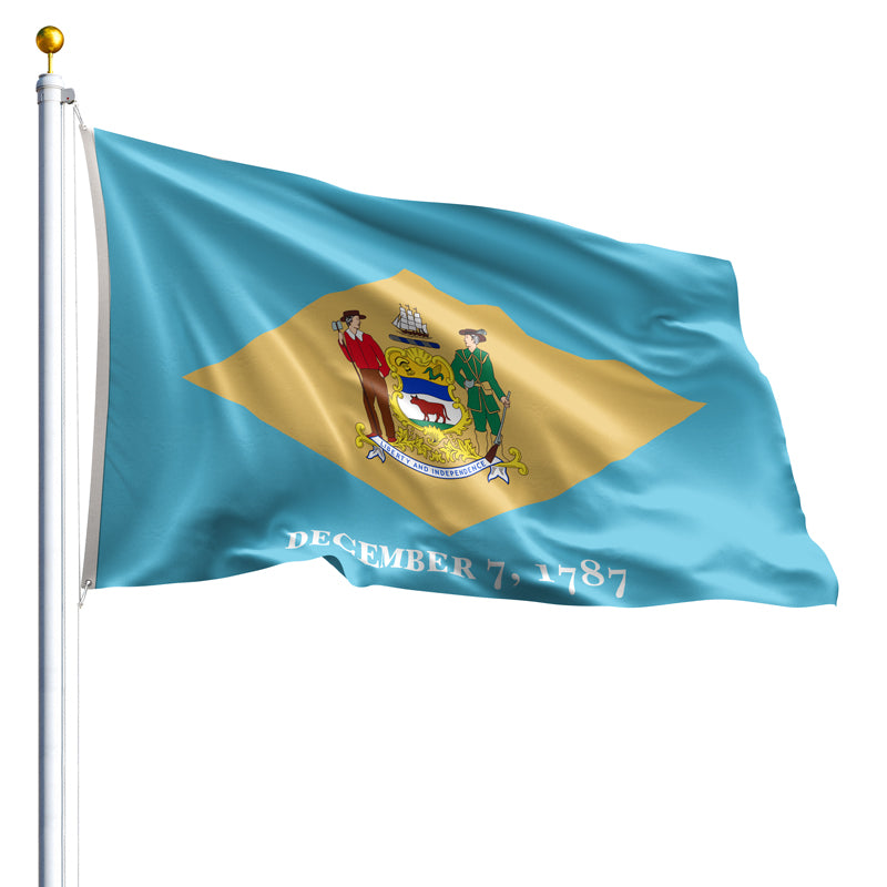 Delaware State Flag