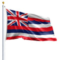 Hawaii State Flag