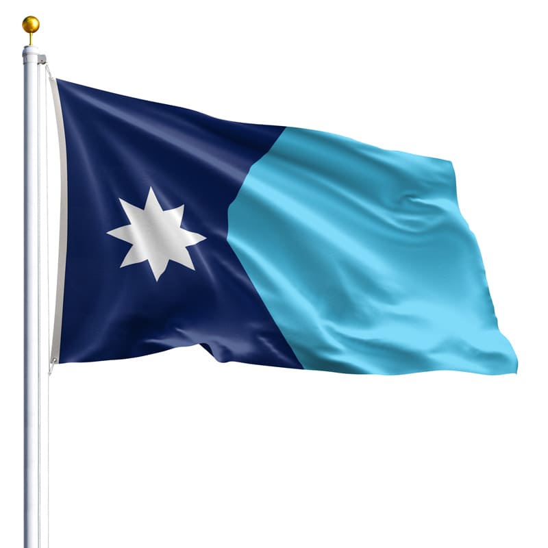 Minnesota State Flag