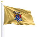 New Jersey State Flag