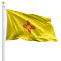 New Mexico State Flag