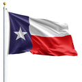 Texas State Flag